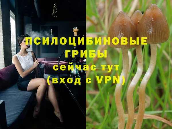 мяу мяу кристалл Бородино