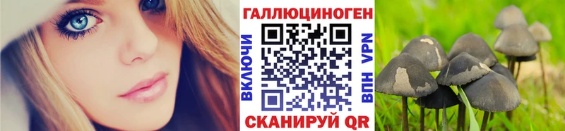 где купить наркоту  маркетплейс какой сайт  kraken зеркало  Псилоцибиновые грибы Cubensis  Липки 